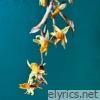 Fleurs Mortes