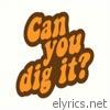 Can You Dig It? - Single