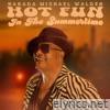 Hot Fun in the Summertime - Single