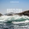 Perfect Storm - Single