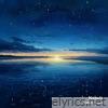 Cosmic Shore