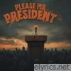 Please Mr President - Single