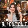 Bli Due Duit - Single