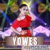 Yowes - Single