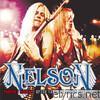 Nelson - Perfect Storm - After the Rain World Tour 1991