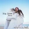 Big Love - Single