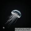 Hurricane - Single
