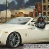 Spider Webbing Windshields - Single