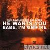 He Wants You / Babe, I'm on Fire - EP