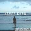 Never Knew - Single