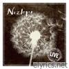 Nizlopi - Live in London.