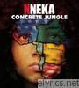 Nneka - Concrete Jungle