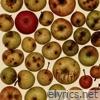 Fruitfly - Single
