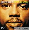 Norman Brown - After the Storm