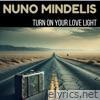 Turn On Your Love Light - Single