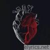 AMOR FALSO & AMOR INTENSO - Single