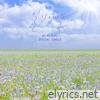 Weather Diary - Single
