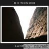 Landslide (10 Years On) - Single