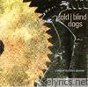 Old Blind Dogs - Close to the Bone