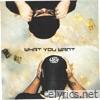 What You Want - Single