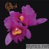 Opeth - Orchid