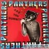 Panthers - Are You Down??