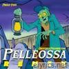 Brividi e Polvere per Pellerossa (Remix) - Single