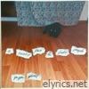 A Sunny Place for Shady People - Single