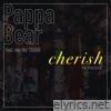 Cherish (Re-Visited) [feat. Jan van der Toorn] - Single