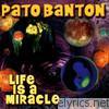 Pato Banton - Life Is a Miracle