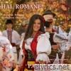 Hai, Romane! (feat. Surorile Osoianu, Nicolae Botgros & Orchestra Lăutarii) - Single