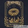 Calendula - Single