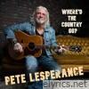Where'd The Country Go? - Single