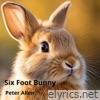 Six Foot Bunny - Single