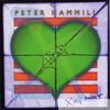 Peter Hammill - X My Heart