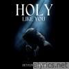 Holy Like You - Single