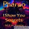 I Show You Secrets (DJ T.H. Remix) - Single