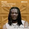 The Twelve Days of Christmas - Single