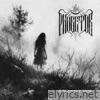 Absence of Light - Single