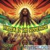 Rolling in the Summertime (Radio Edit) - Single