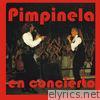 Pimpinela - En Concierto (En Vivo)