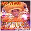 Pinduca - Ao Vivo