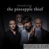 Introducing... The Pineapple Thief