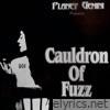 Cauldron of Fuzz