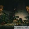 Plot In You lyrics