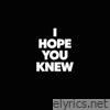 I Hope You Knew - Single