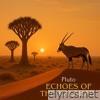 Echoes Of The Kalahari - EP
