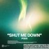 Shut Me Down - Single
