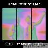 I'm Tryin' - Single