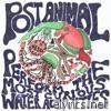 Post Animal Perform the Most Curious Water Activities